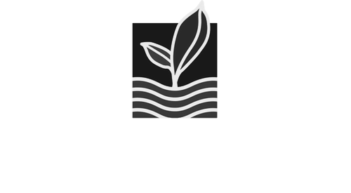 DreamSpring-logo-white